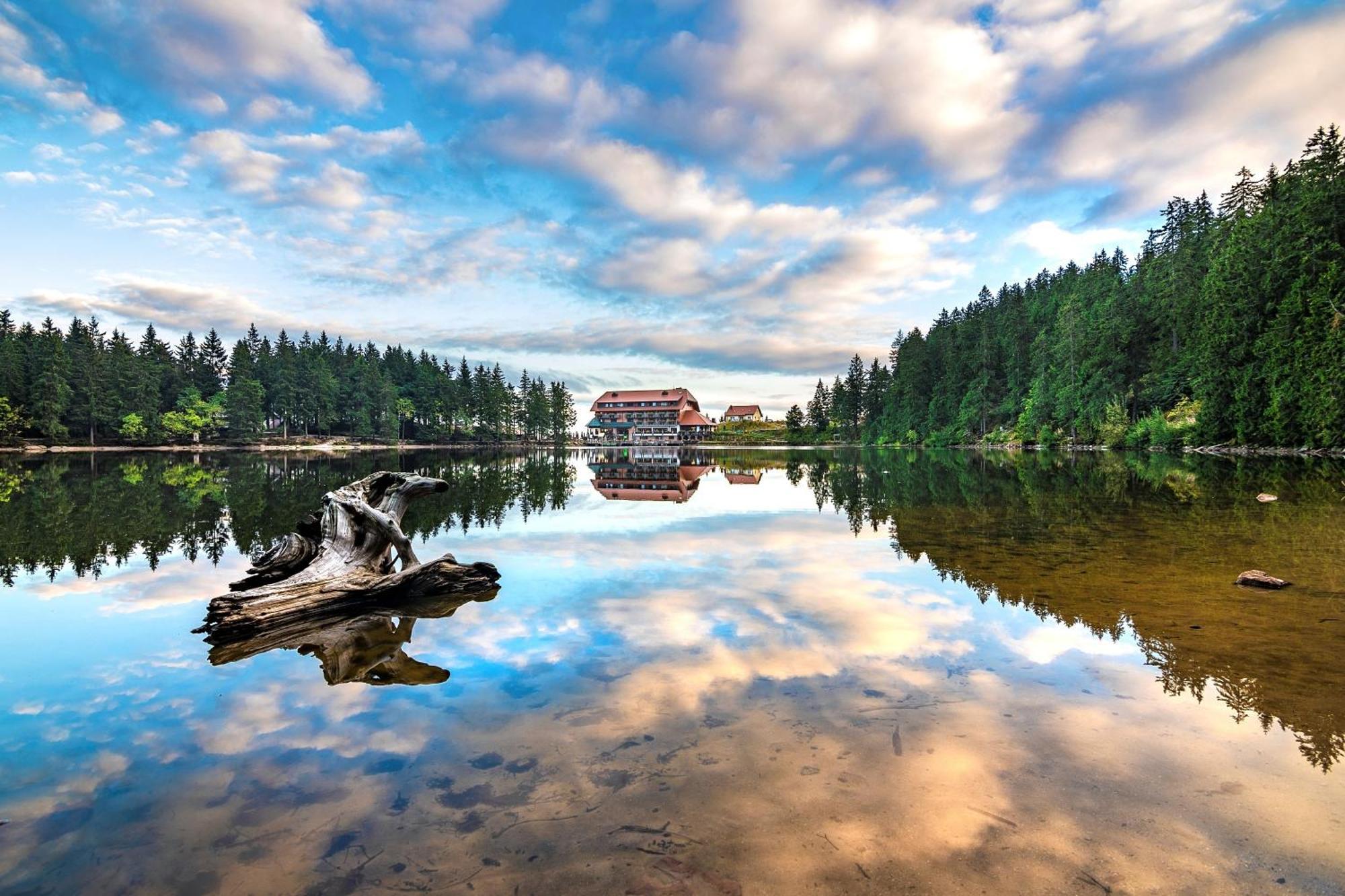 Berghotel Mummelsee Seebach Exteriör bild